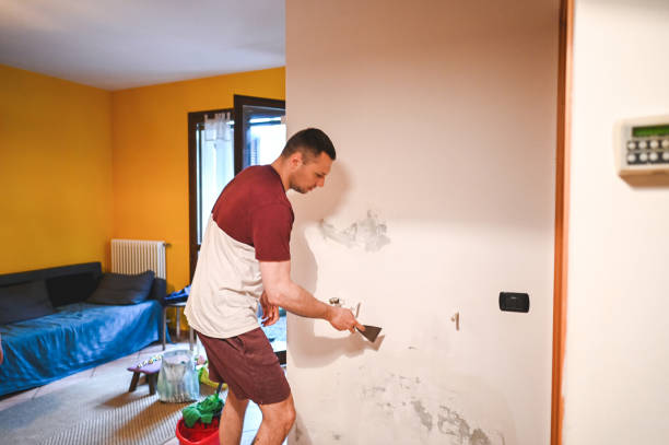 Best Crawl Space Mold Remediation in Guerneville, CA